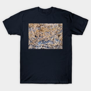 Coral Rock Texture T-Shirt